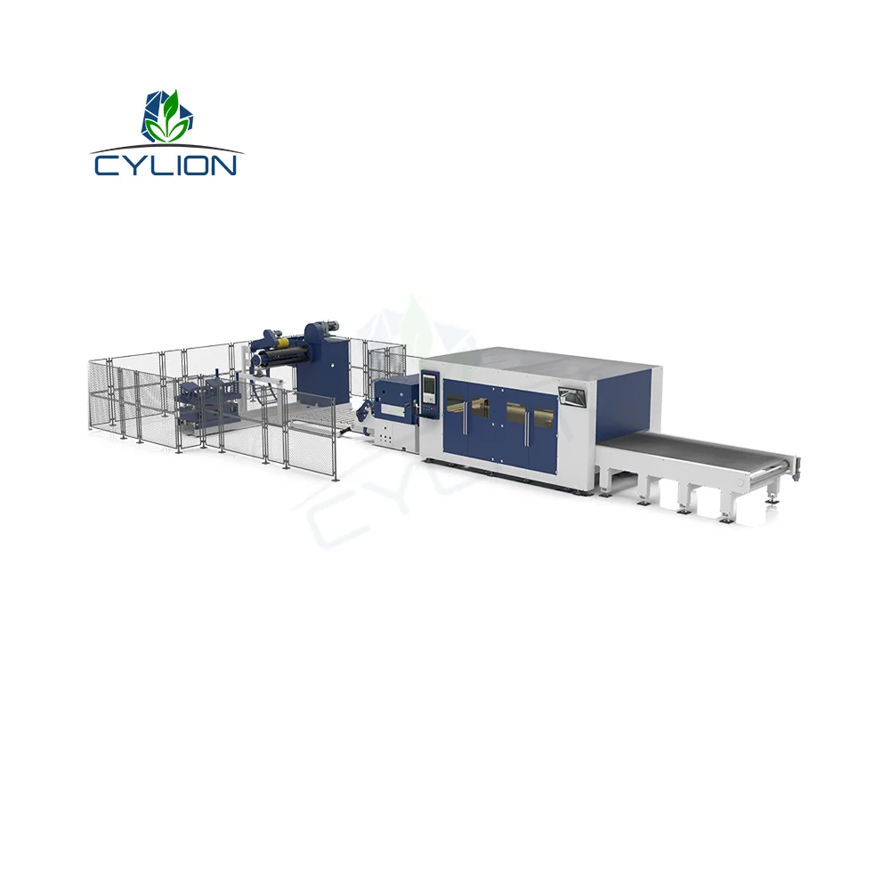 3000W 6000W 10000W Fiber Laser Cutting Machine for Thin 3mm 6mm Steel Coil Production Line