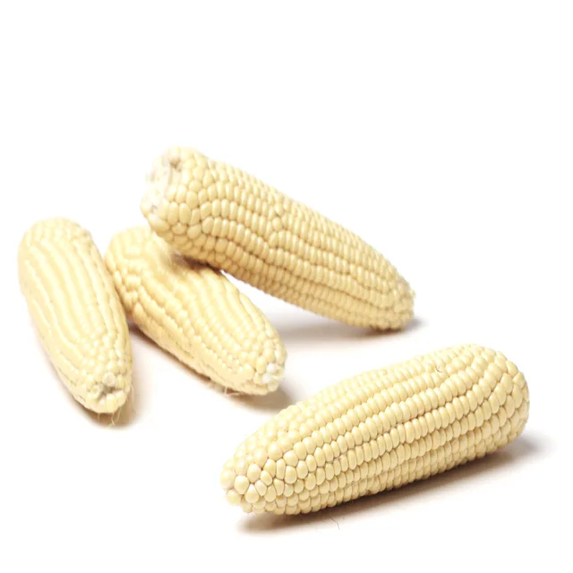 Buy Brazilian White Corn Cheap Price White Corn For Animal Feed and Human Use Best Price Guaranteed For Sale