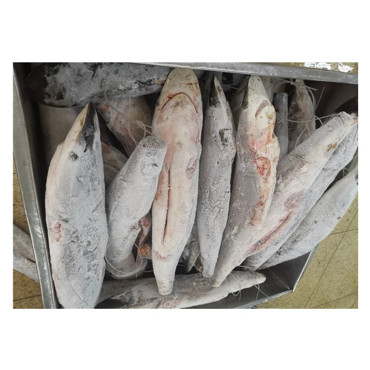 Hot Selling Excellent Quality Wholesale Delicious Frozen Seafood Product Sailfish from Thailand Origin Exporter