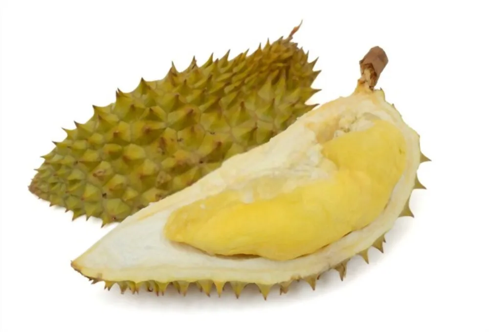 100% High Quality Fresh Delicious Vietnam Durian and Feeeze Durian
