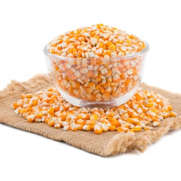 Высокое качество желтая кукуруза кукурузы зерна корма для