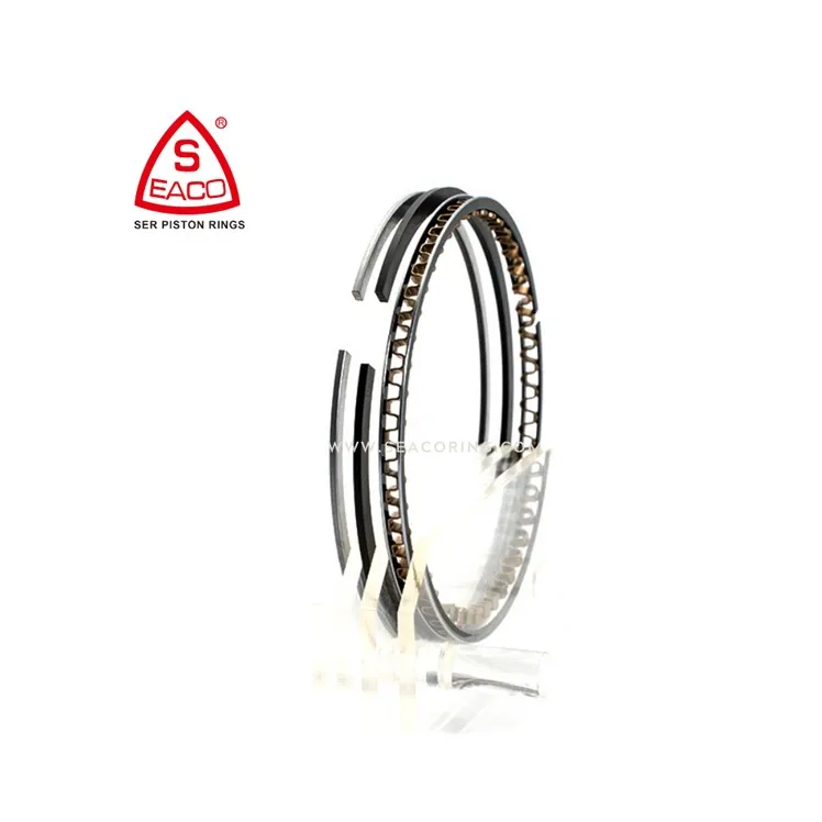 Engine Spare Parts 12033-0W000. 12033-0W010. 12033-7B000 VG33 Piston Rings for Nissan