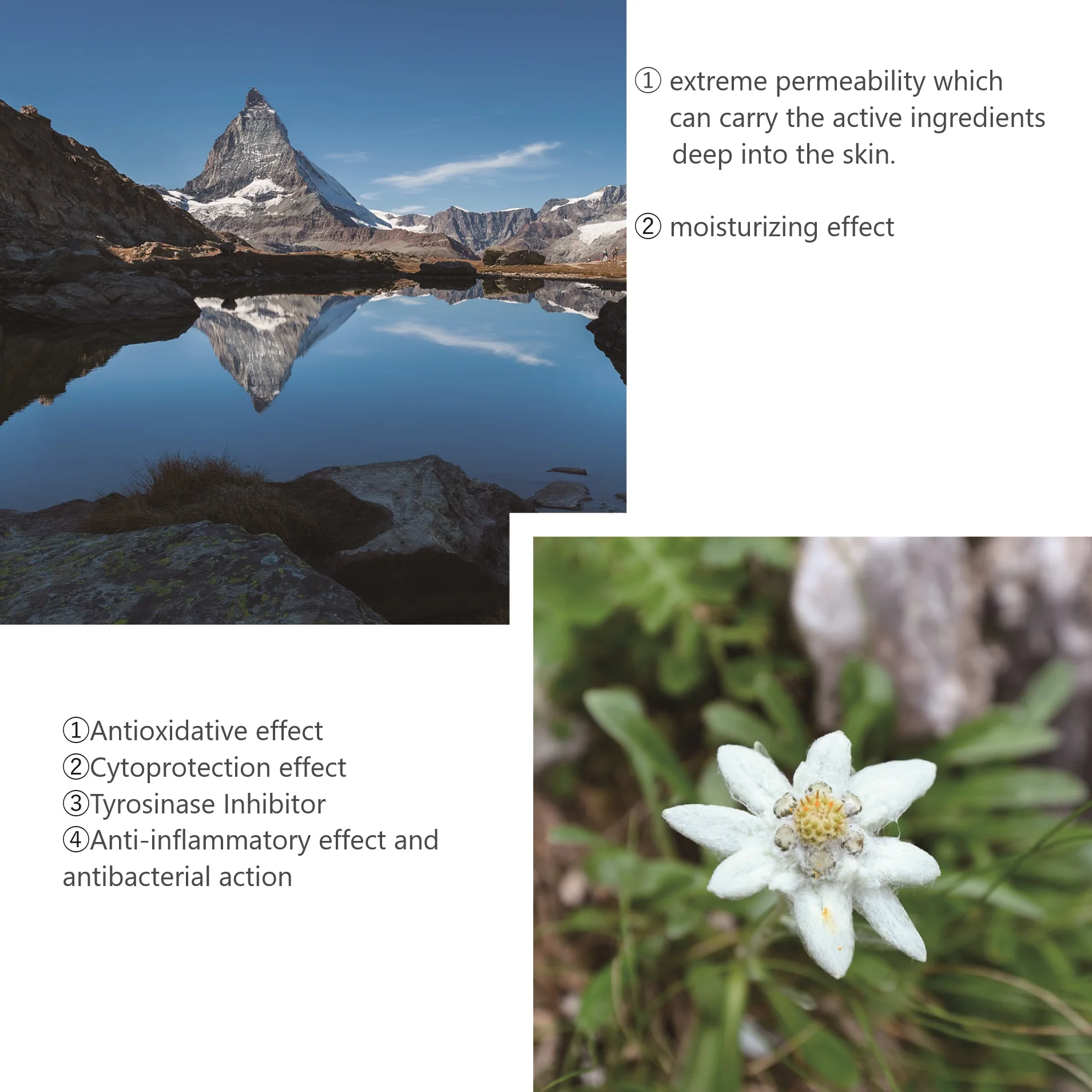 Japanese Moisturizer Hand and Body Lotion Products Made in Japan