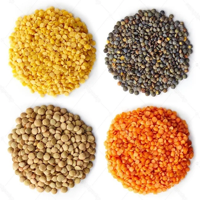 Organic Canadian Red Lentils / Split Red Lentils From Canadian wholesale price