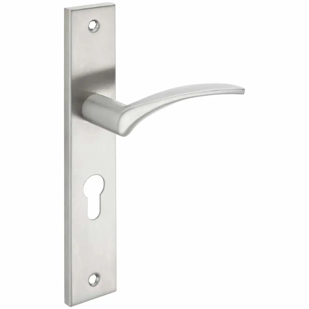 Interior Door Handle Satin Nickel Lever on Plate