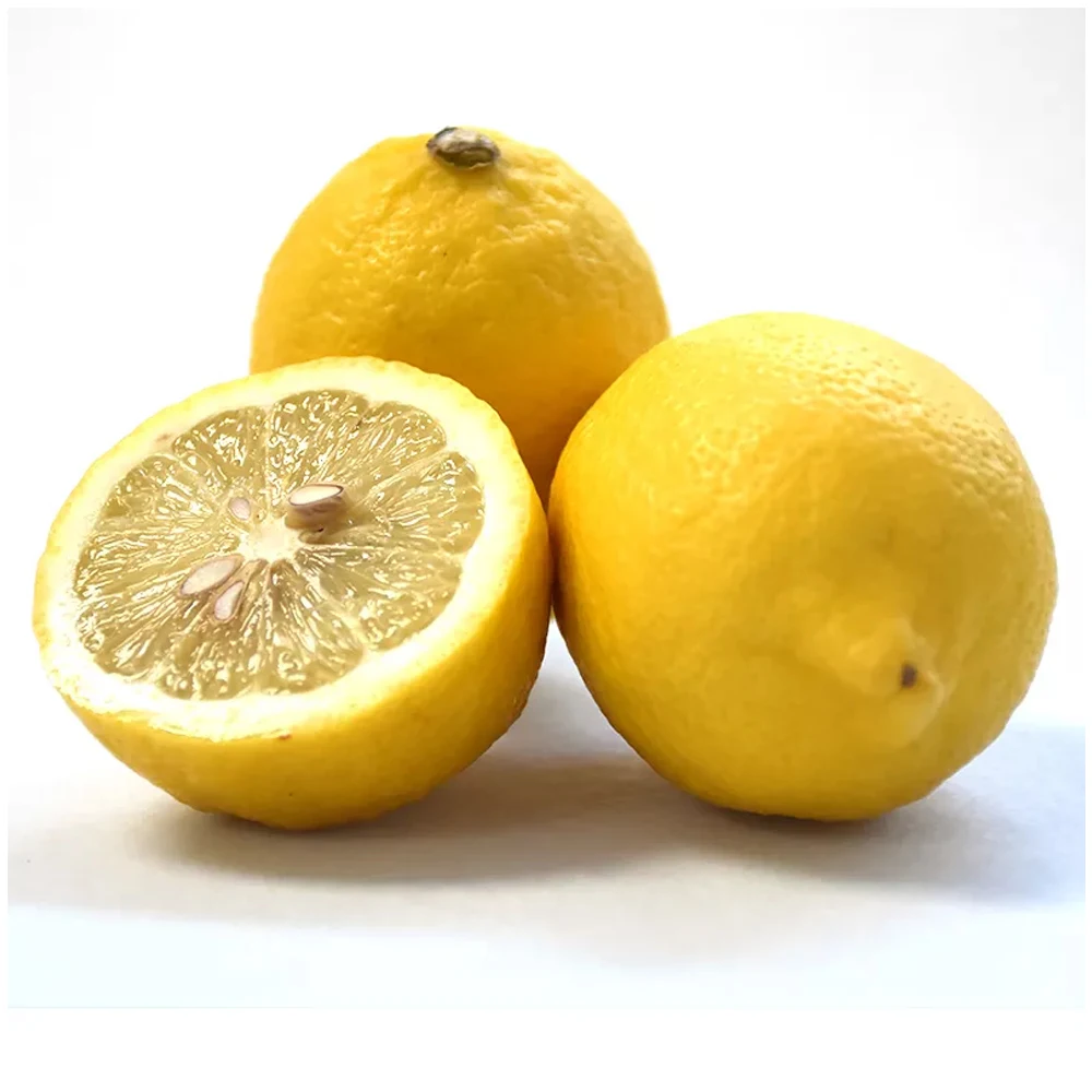 Best Quality Custom Made Wholesale fresh Limen Natural Fresh Lime