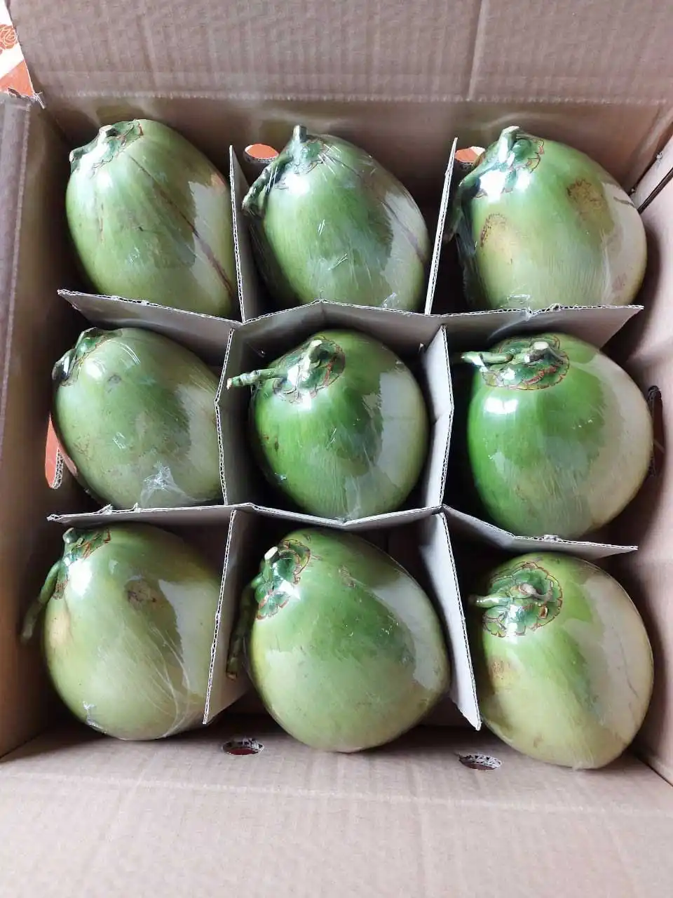 High Quality Vietnamese Fresh Coconut 100% Natural The Best Price In The Market