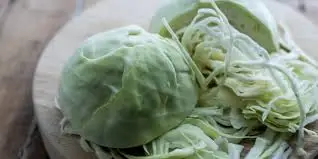 OEM Service FRESH Cabbage 100% Nutrients Cabbage Vegetable Wholesales Price For Fresh Vegetable Cabbage cheap price bangladesh