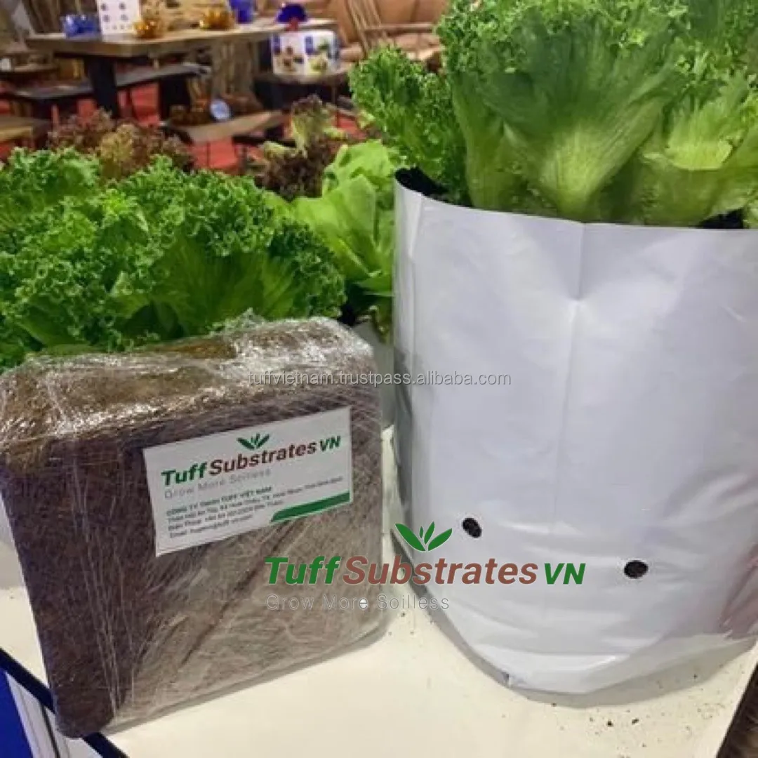 Selling Block Cocopeat Coir Pith For Plants With 700Gr Block High Quality in size 19*17*5cm good expan from Tuff Vietnam Low EC