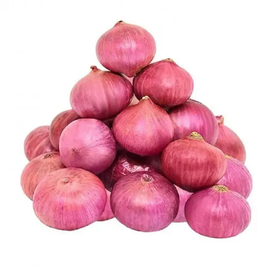 You can buy the best quality fresh onion at wholesale price from any country in the world with customized packing