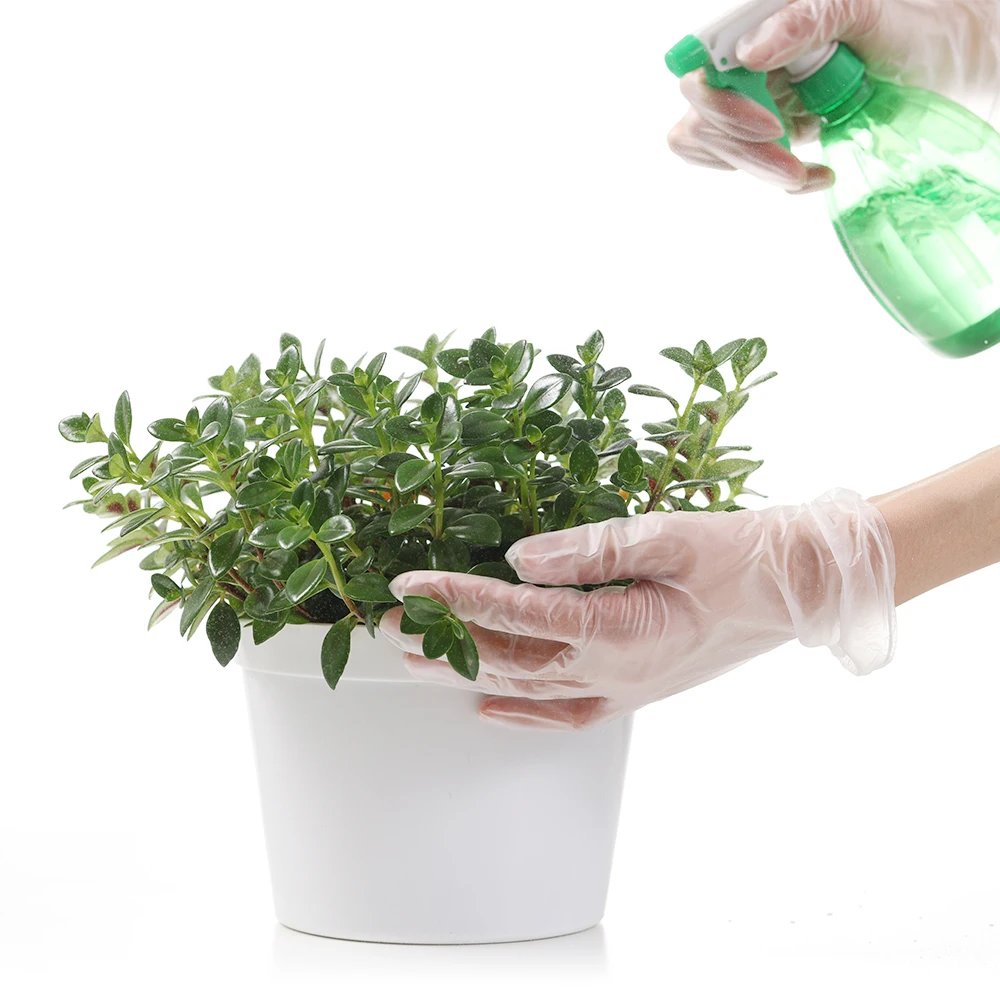 PVC Household powder free vinyl hand gloves