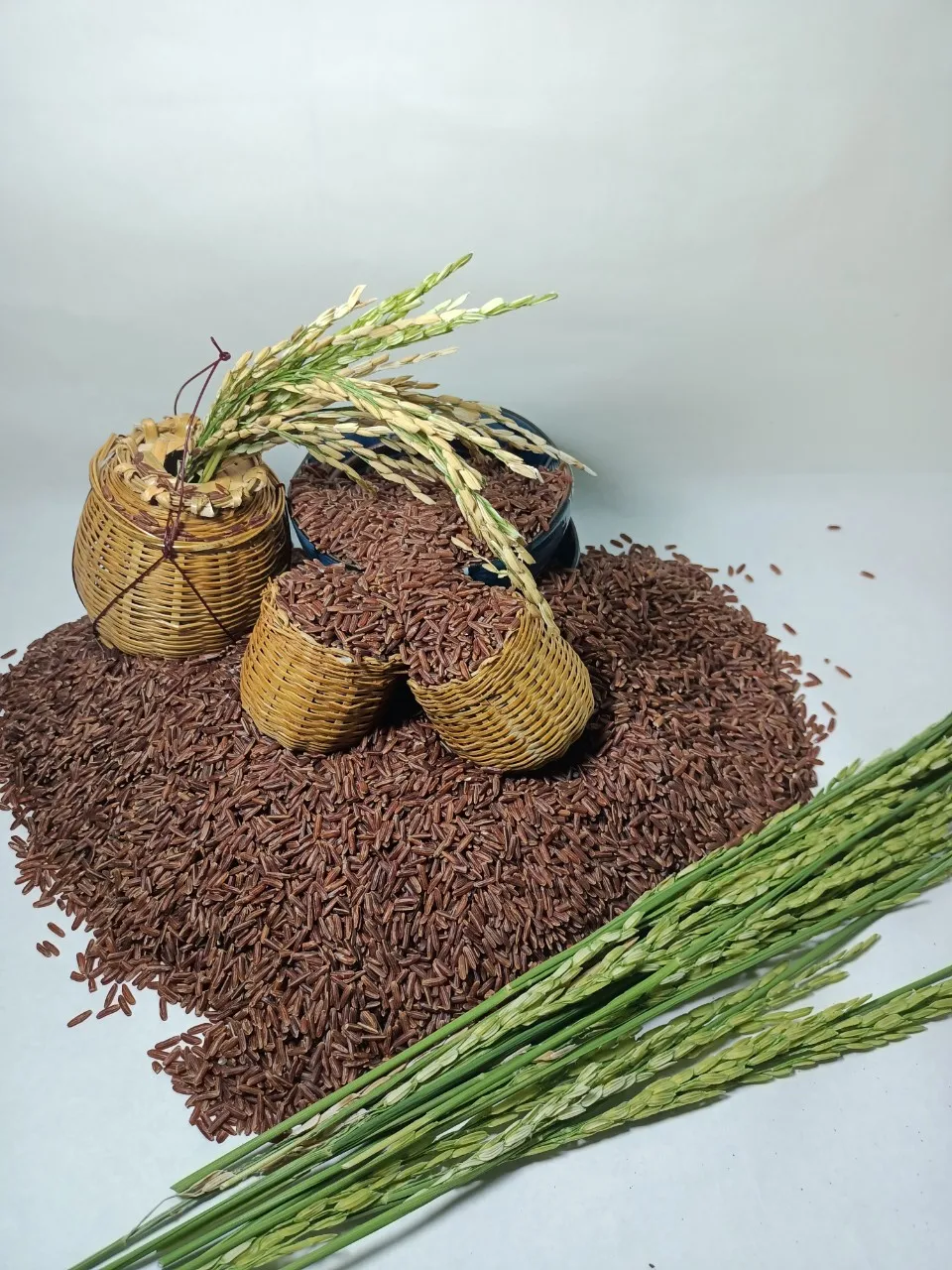 Seven Mountain Rice Long grain Red Cultivation Type ISO 22000 HACCP GMP Certification