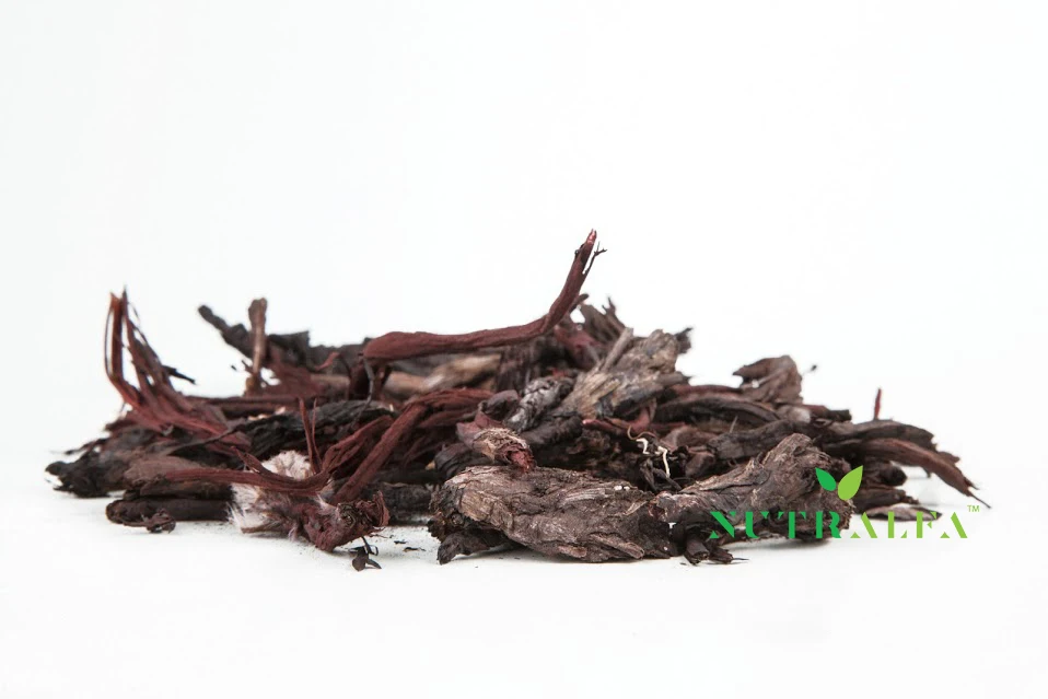 ISO HACCP High Quality Alkanet Roots Best Quality Herb