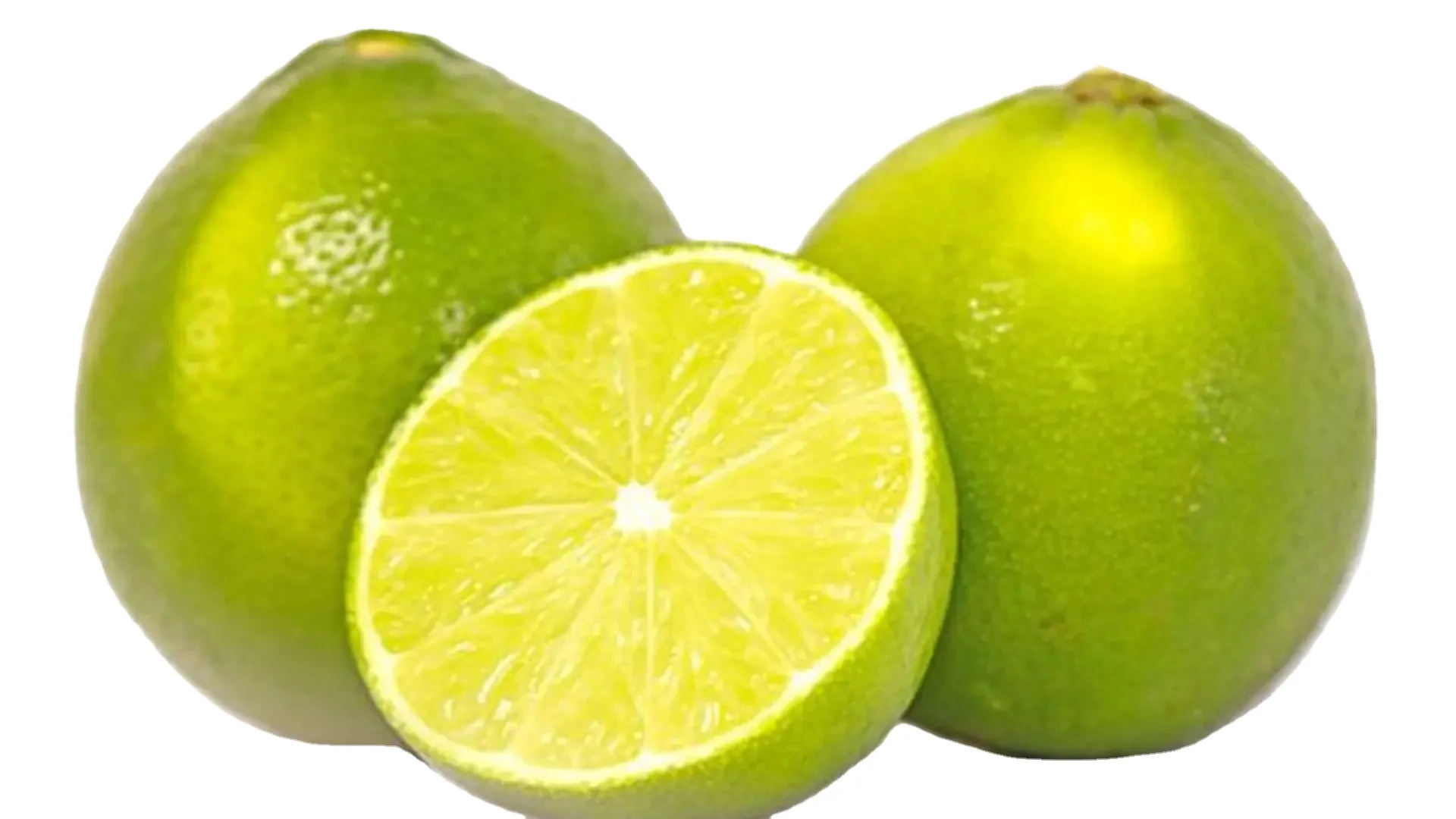Wholesale price lemon fresh fruit fresh lemon for sale  Green Sour Taste Seedless Lemon Lime From Vietnam