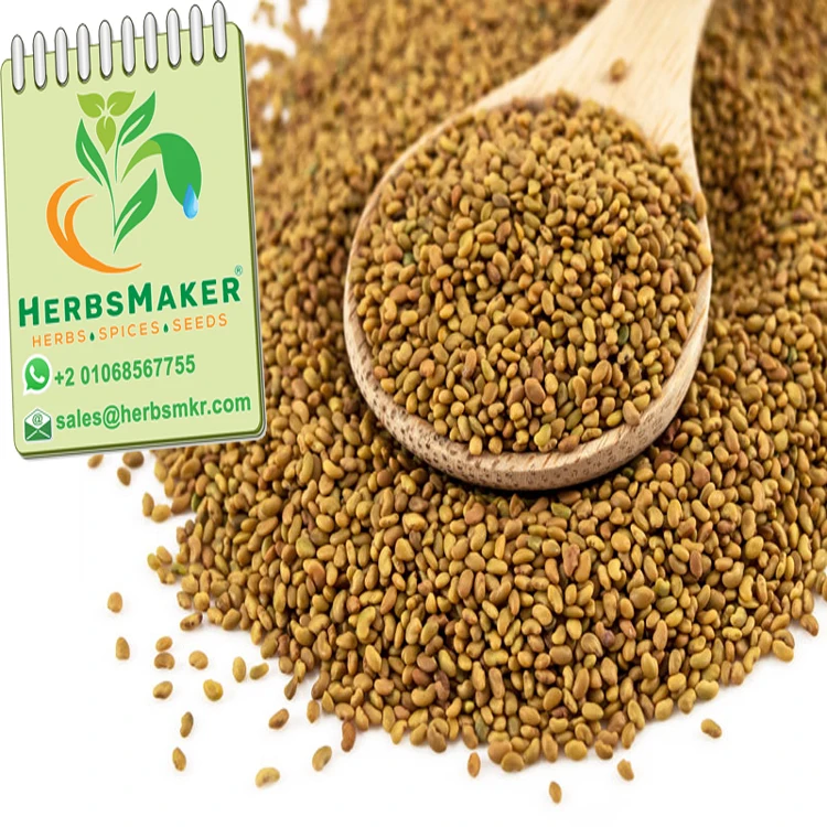 (CLOVER SEEDS) NEW CROP HIGH QUALITY EGYPTIAN SORTEX CONVENTIONAL AND ORGANIC VERY COMPETITIVE PRICE