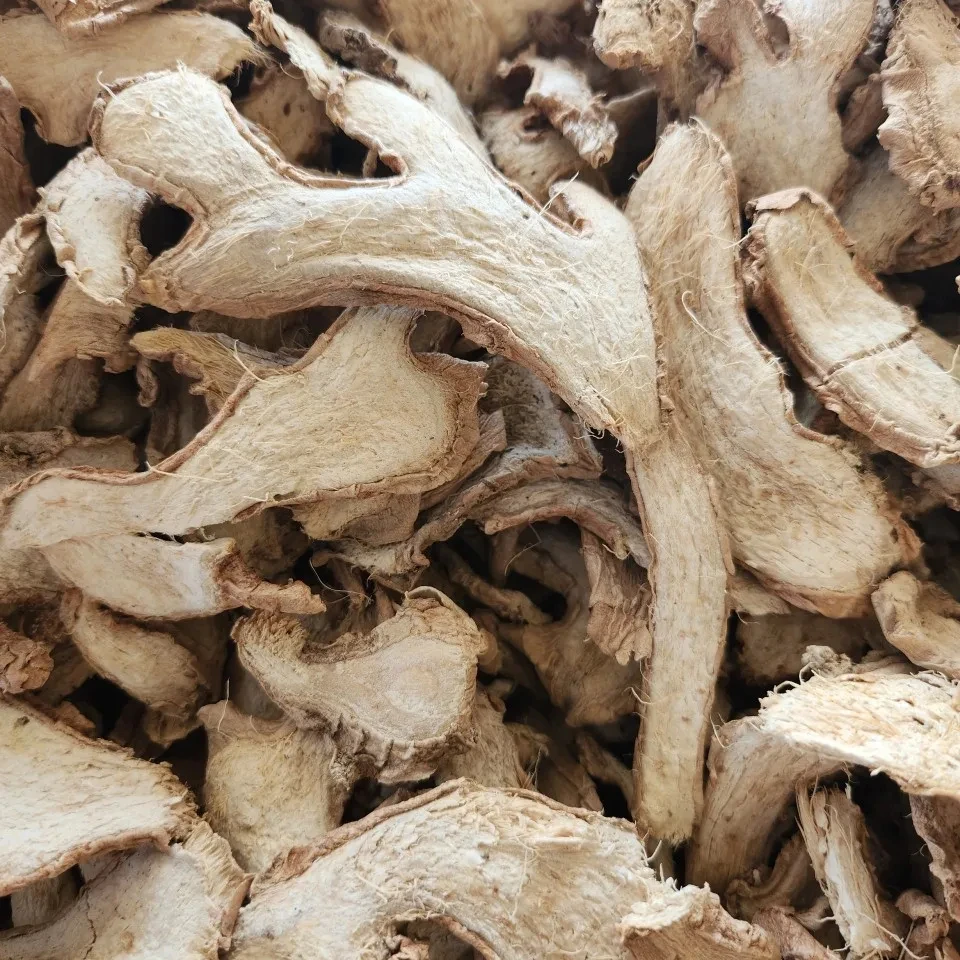 New Crop Fresh Ginger For Sale Dry Ginger Wholesale From Vietnam Supplier Export Hight Quality