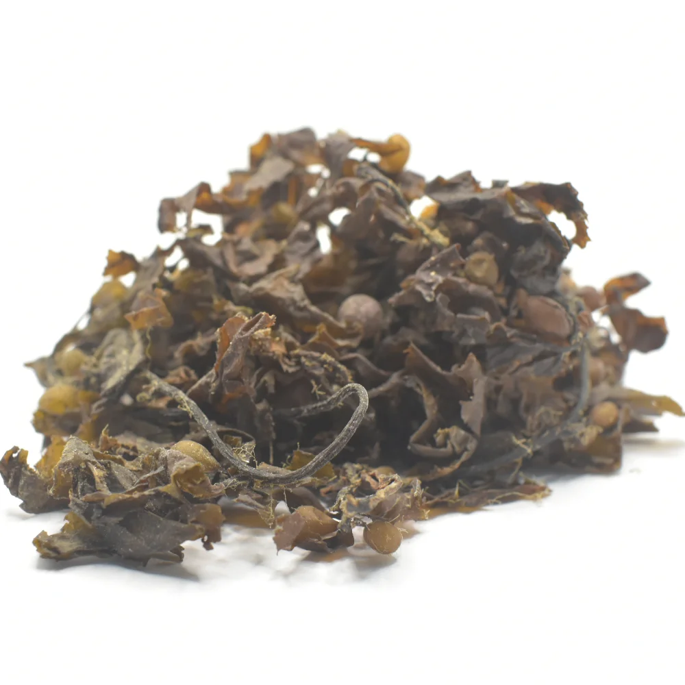 Premium Quality 100% Pure Organic Dried Sargassum Seaweed Bulk Packaging Direct from Indonesian Supplier
