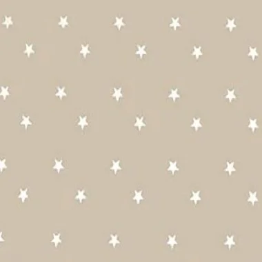 PVC Table Cloth for PVC Table Napkin PVC Cloth