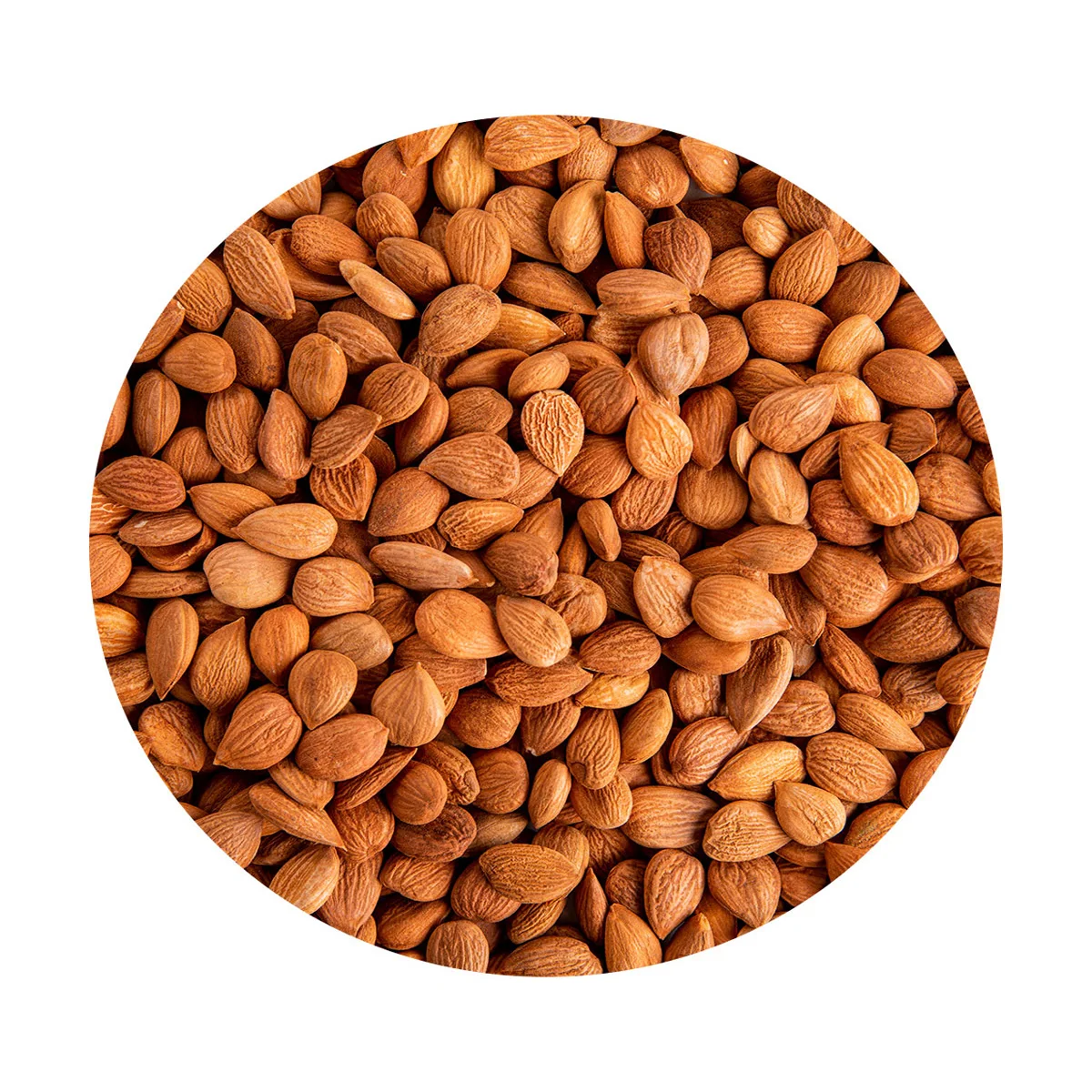 Nutritious apricot kernels proper food lean diet sweets benefit the body rich in vegetable fats unique amino acids