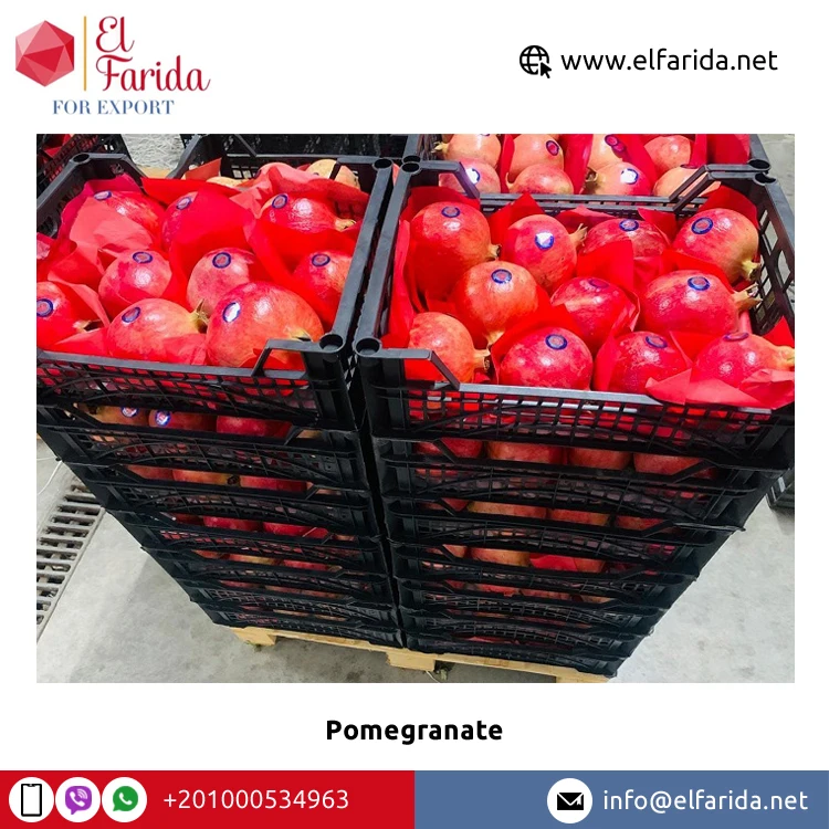 Superior Quality Bulk Sale 100% Natural Sweet Delicious Red Fresh Fruit Pomegranate at Wholesale Market Price
