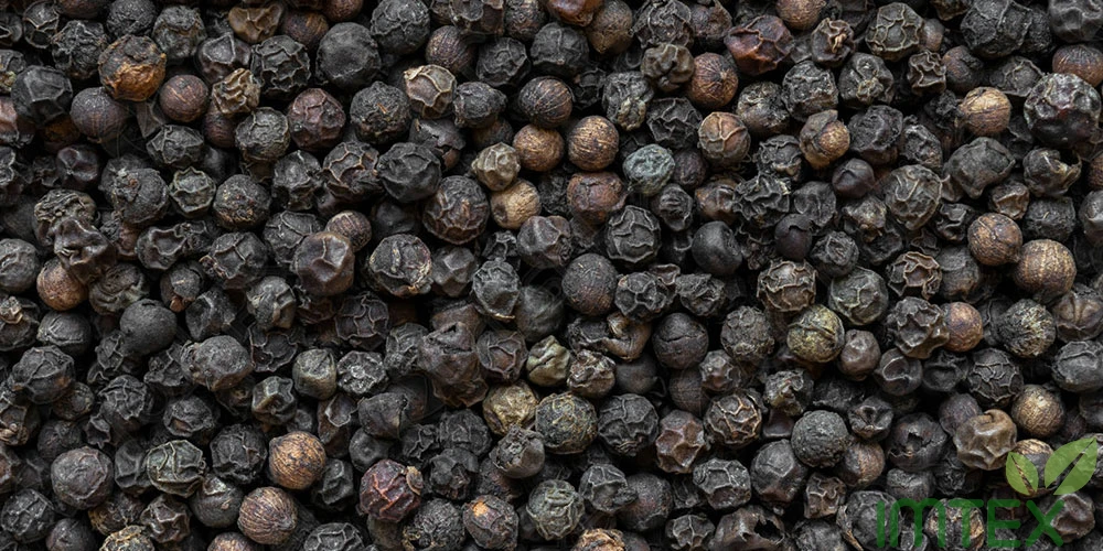 HOT SALE VIET NAM BLACK PEPPER 570 G/L PREMIUM QUALITY