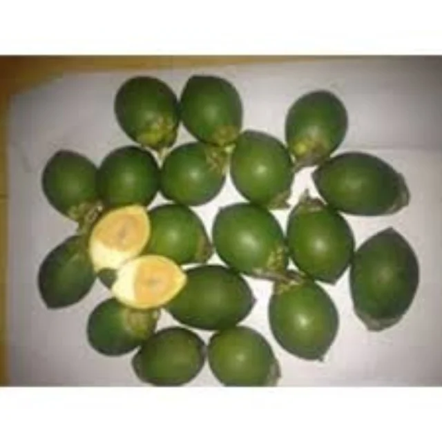 Бесплатный образец! Замороженные фрукты Areca/молодая Пальмовая гайка в вакуумном пакете с высоким качеством и лучшей ценой из Вьетнама в 2022 году