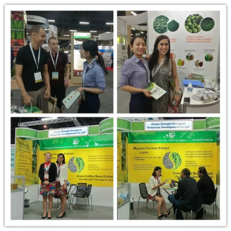 Best quality Seabuckthorn Seed Oil Berries Hippophae Rhamnoides Extract Fruit Seeds Dried Sea Buckthorn Powder