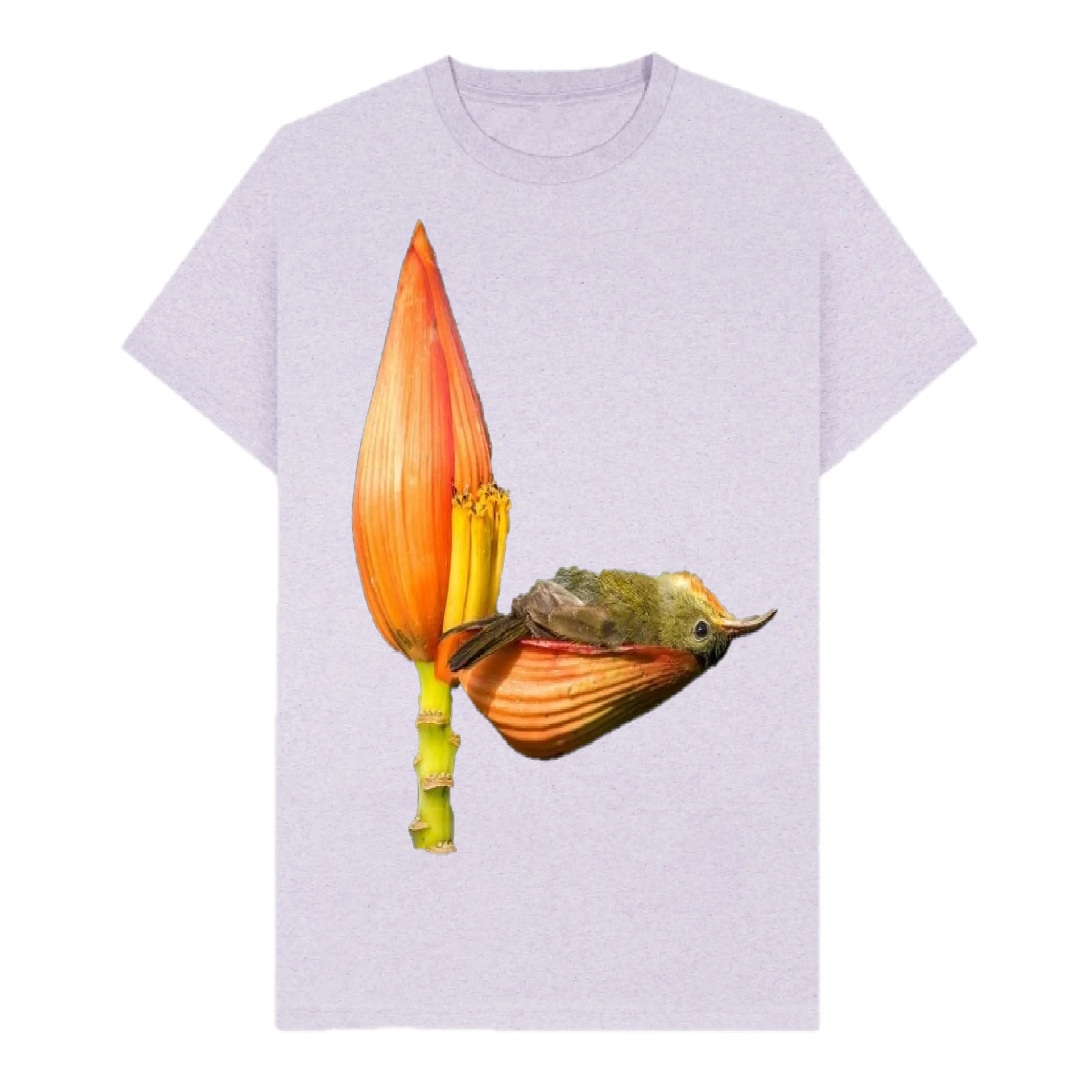 Bird Print Good Quality Unisex T Shirt Solid Color Sustainable Direct Factory Made 100% Cotton Wholesale Price T Shirt