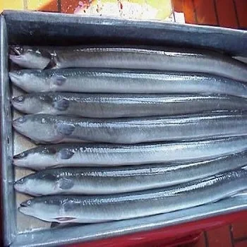 frozen and fresh eel for sale
