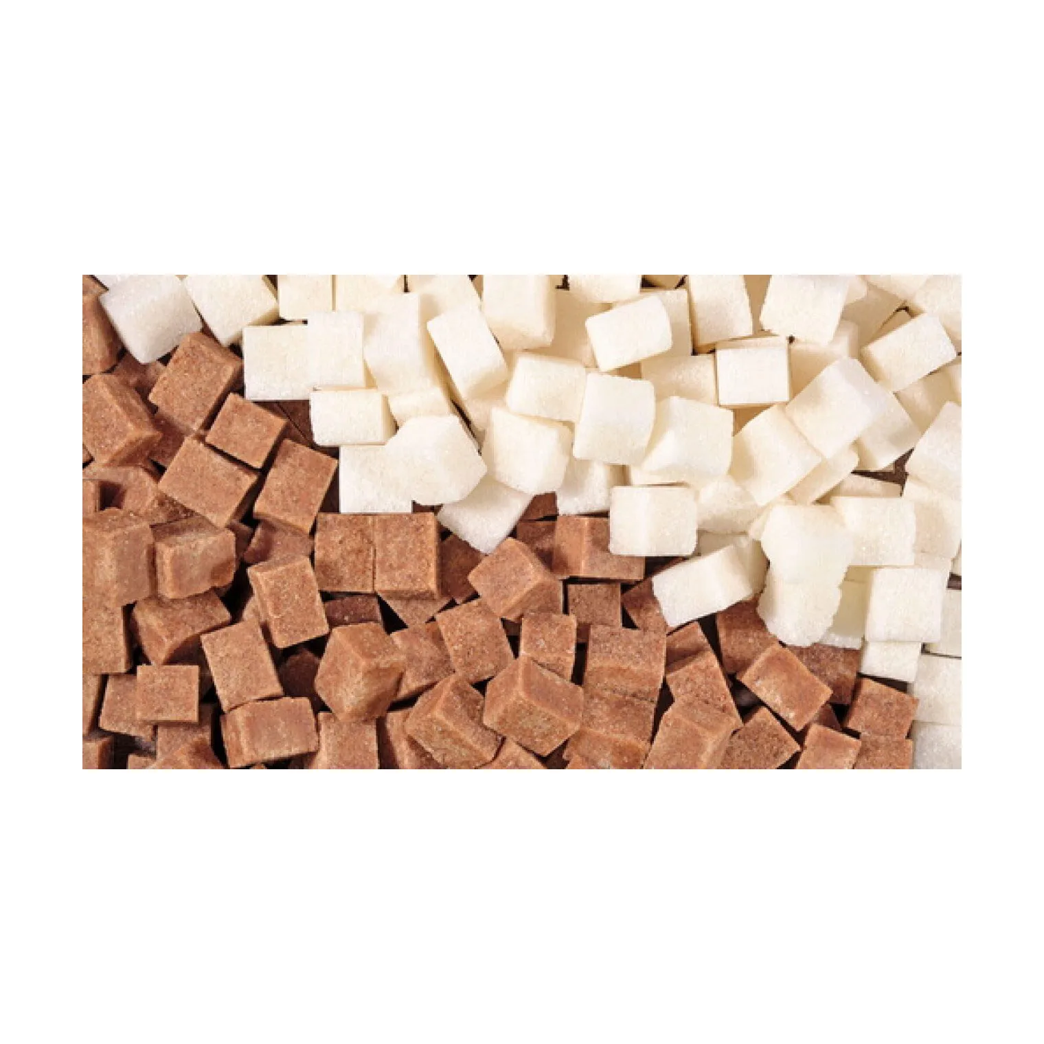 Best Quality Refined Beet Sugar Available