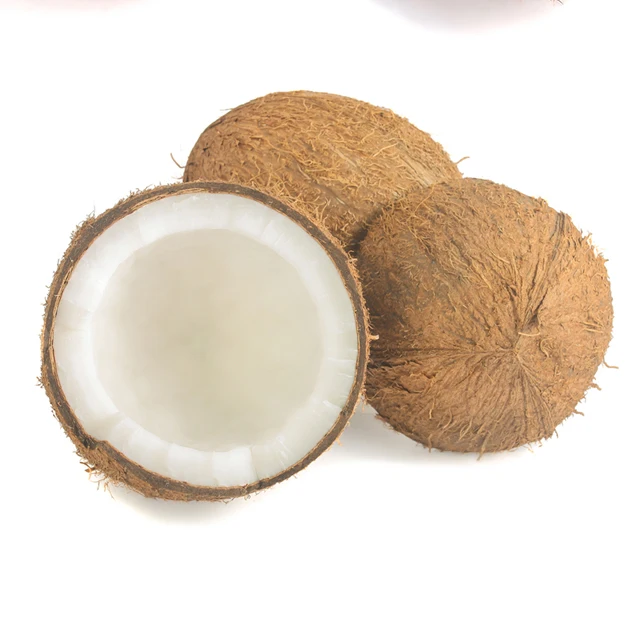NEW ARRIVAL !!Semi-Husked Fresh mature coconut in bag Fresh newly harvested made in Viet Nam Fresh Coconut Natural Sweet Coconut