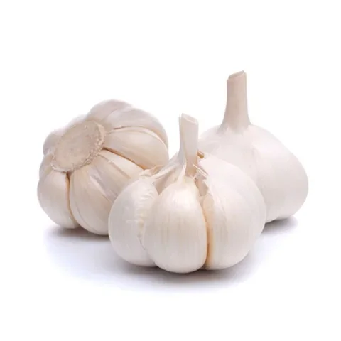 Fresh Green Garlic