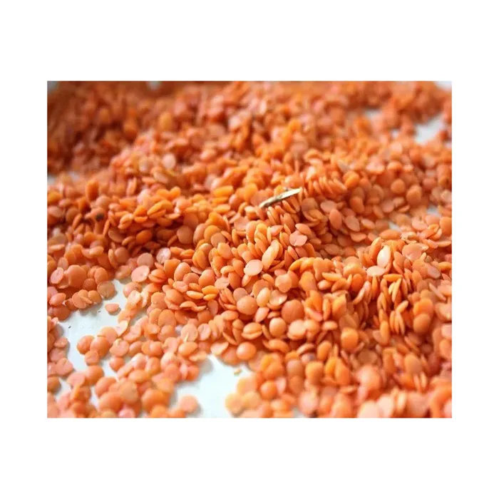 High Quality Red Split Lentils / Lentils Price