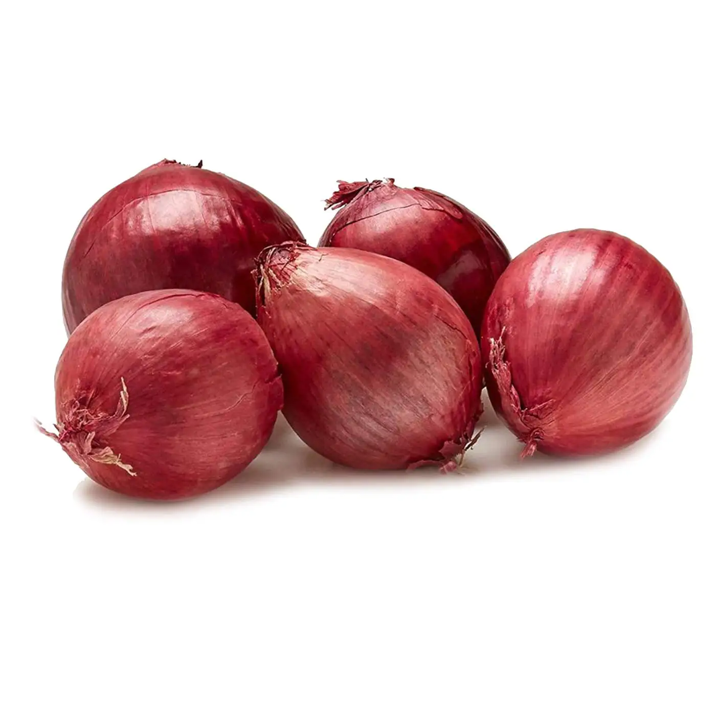 Fresh Red Onion Organic Nutritional and Natural Fresh Onion Prices