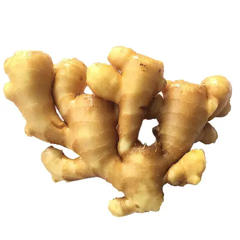 Buy High quality dried fresh ginger market price per ton wholesale Ginger buyers for export in China Ginger