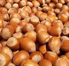 Natural Premium Quality Hazelnut