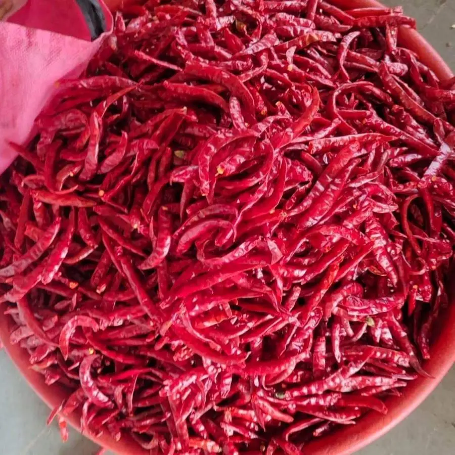 Red Chili Pepper Dried Vietnam Wholesale Hot and Spicy Export Spices & Herbs Products Good Price