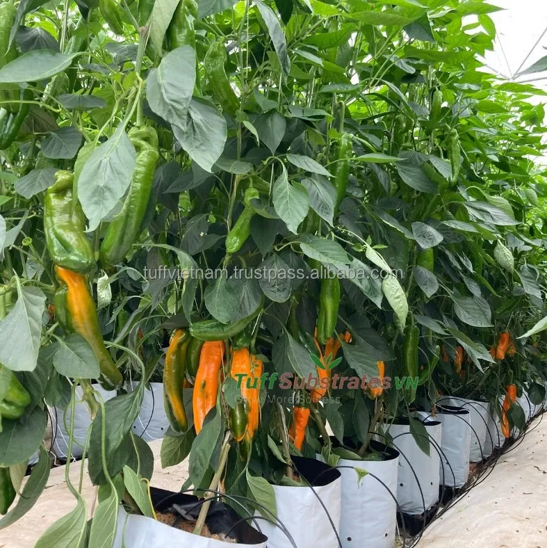 Cocopeat Open Top High Grade Manufacturer Best Quality Hot Sell Low MOQ Cheap Price Cocopeat For Agriculture green house decor