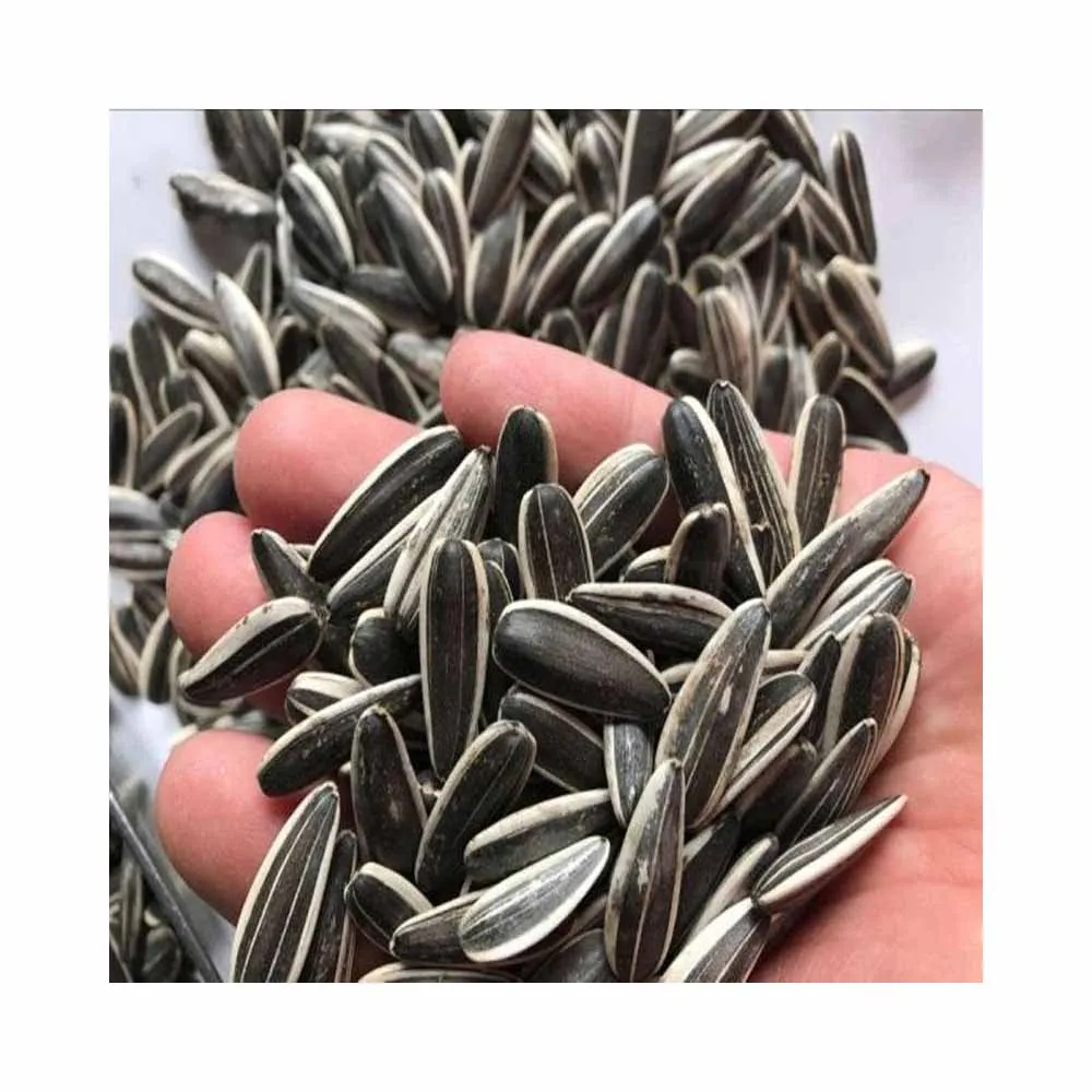 High Quality Sunflower seed for sale