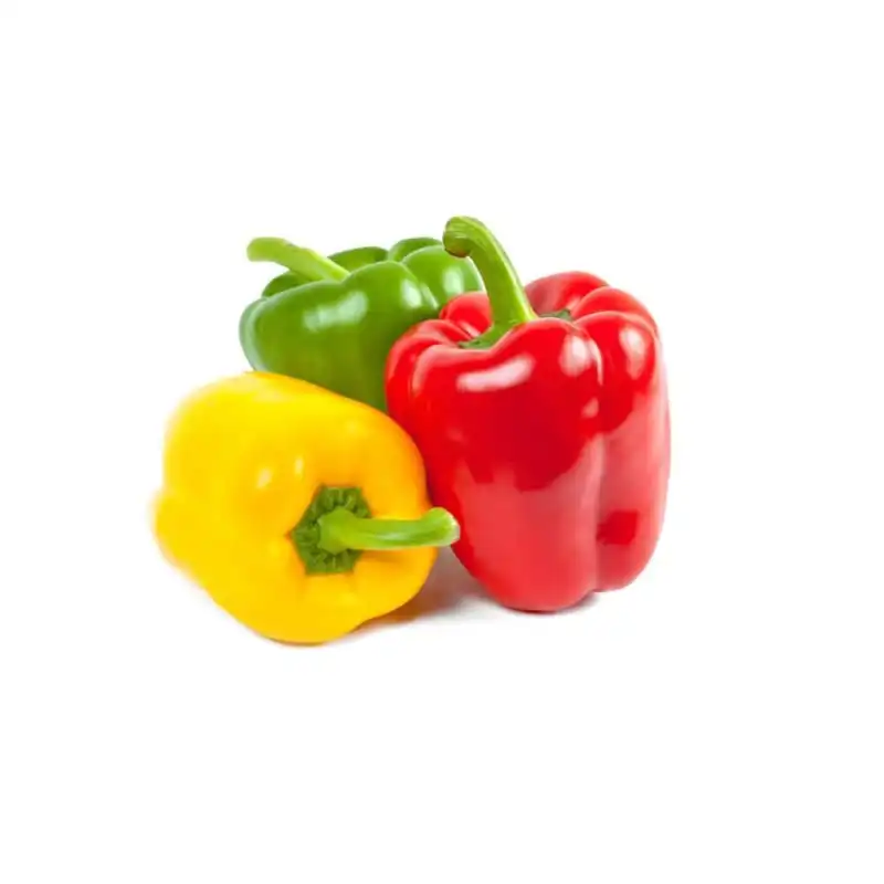 Good quality  Fresh Capsicum Bell Pepper Smooth and Natural Red Yellow Green Skin from Vietnam top exporter Reasonable Price