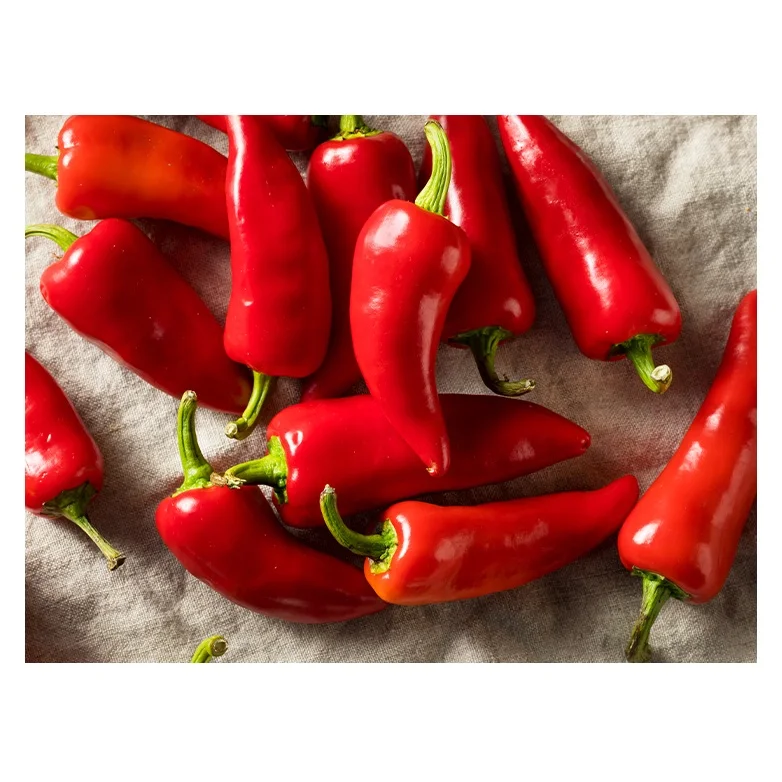 Chili Pepper/ Red chili with best prices