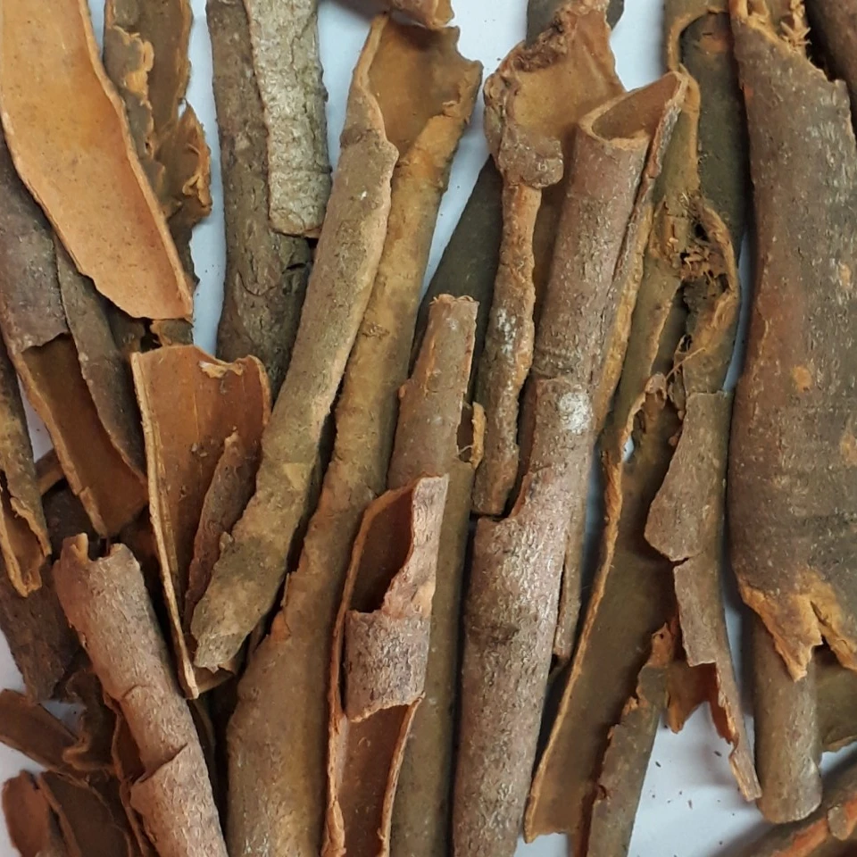 Vietnam Raw Broken Cinnamon With High Quality