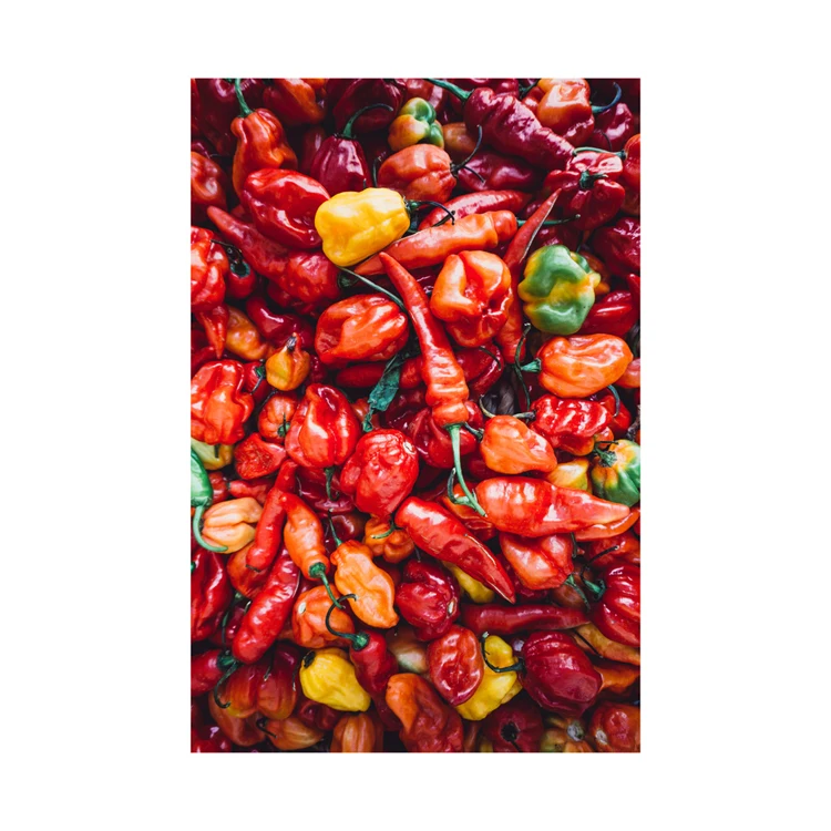 Cheap Price High Quality Natural Dry Red Hot Chili Wholesale Chili Pepper Seeds For Sale In bulk