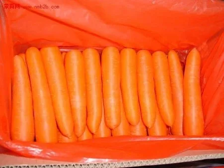 Cheap Vegetables Fresh Carrots Seed for Wholesale Export New Red Fresh Juicy and Sweet Carrots on Cheap Wholesale