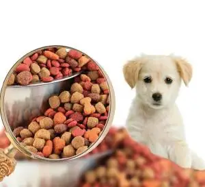 PET-Food-Production-Line.jpg