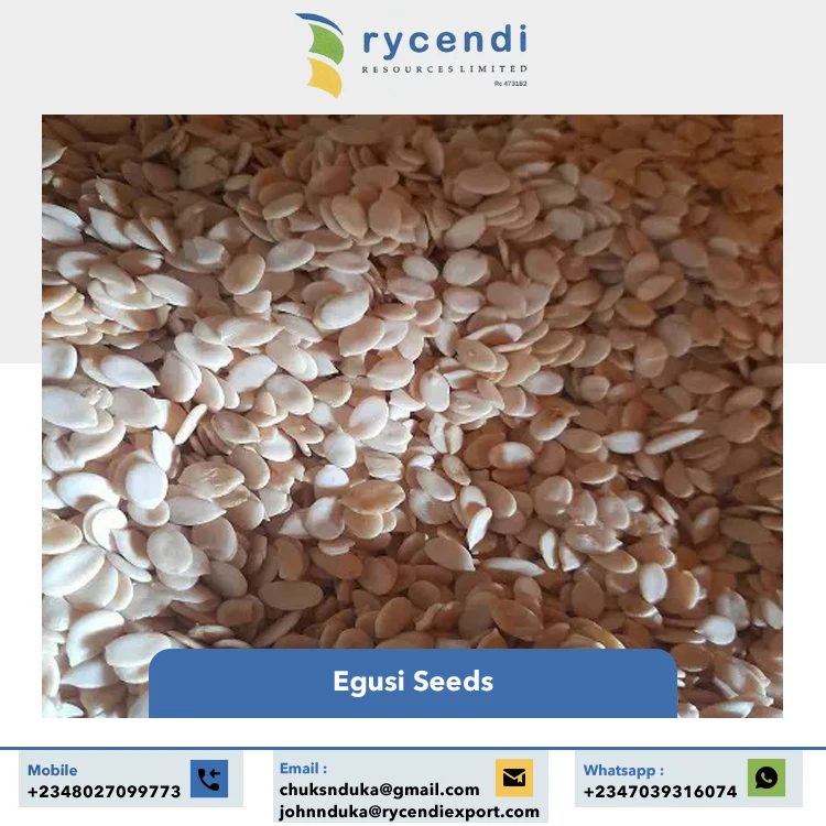Superior Quality Wholesale Supply Nigeria Origin Export Raw Dried Egusi Seeds / White Melon Seeds for Bulk Buyers