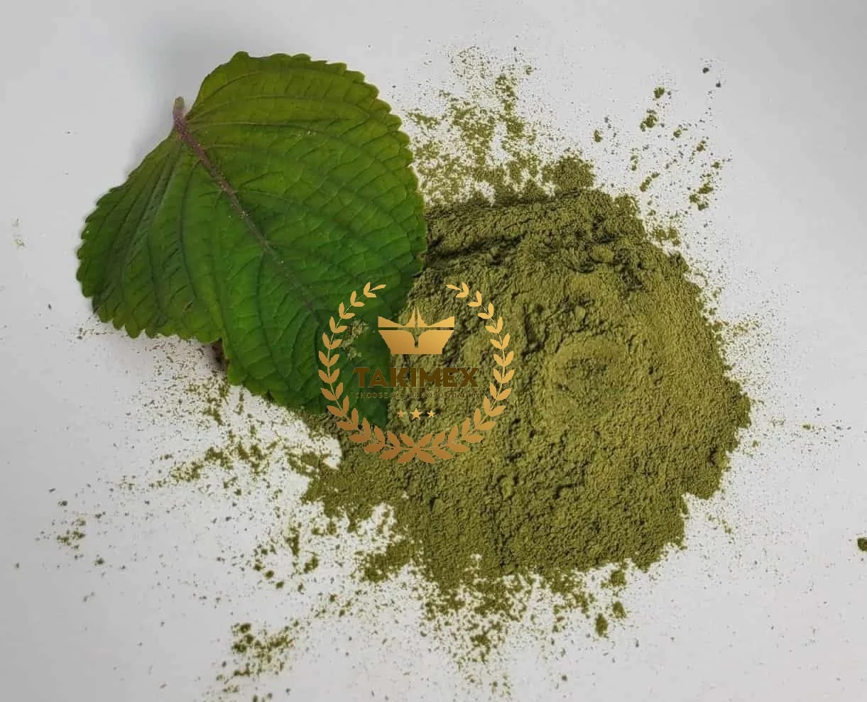 Hot Selling Dried Fresh Perilla Frutescens Leaf / Purple Green Shiso Powder for Healthy Packing Tea Bag