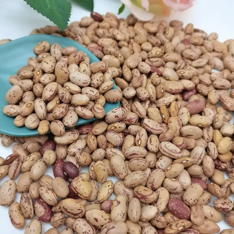 sugar beans 3.jpeg