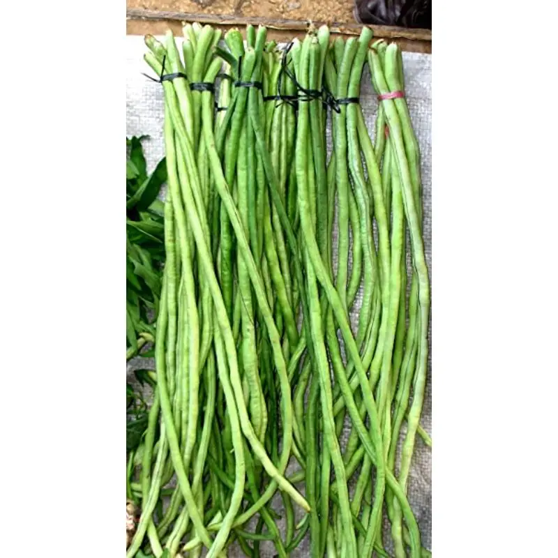 Indian Black Eyed Cow Pea polo beans fresh vegetable for top sale at good discounted price By Air in customize Packing