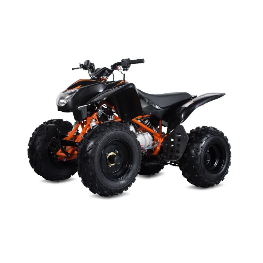 Recreation Use 4x4 Quadbike ATV Bike 250CC 2-Seater ATV Bike for Sale